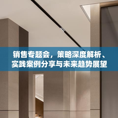 销售专题会，策略深度解析、实践案例分享与未来趋势展望