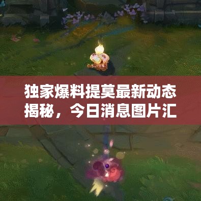 独家爆料提莫最新动态揭秘，今日消息图片汇总！