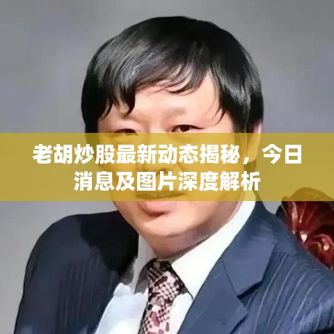 老胡炒股最新动态揭秘，今日消息及图片深度解析