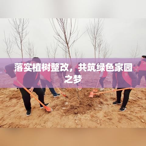 落实植树整改，共筑绿色家园之梦