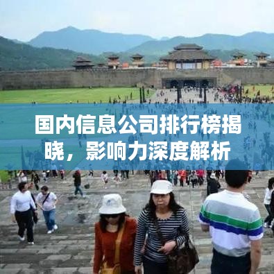 国内信息公司排行榜揭晓，影响力深度解析