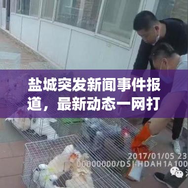 盐城突发新闻事件报道，最新动态一网打尽！