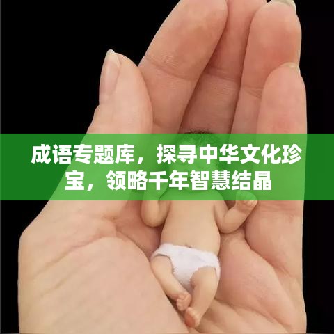 成语专题库，探寻中华文化珍宝，领略千年智慧结晶
