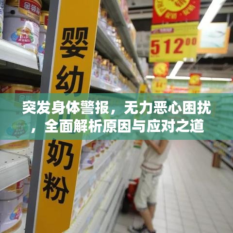 突发身体警报，无力恶心困扰，全面解析原因与应对之道