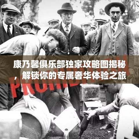 康乃馨俱乐部独家攻略图揭秘，解锁你的专属奢华体验之旅