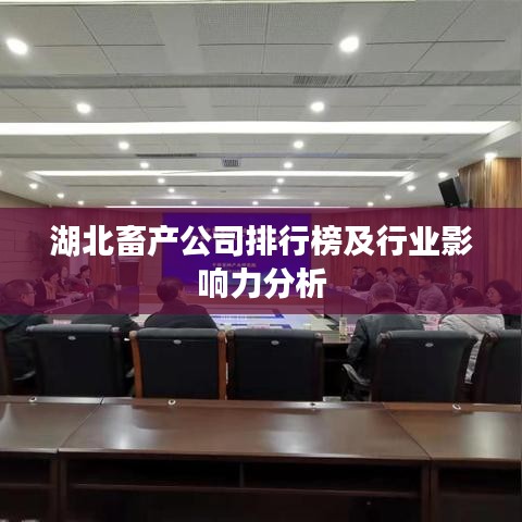 湖北畜产公司排行榜及行业影响力分析