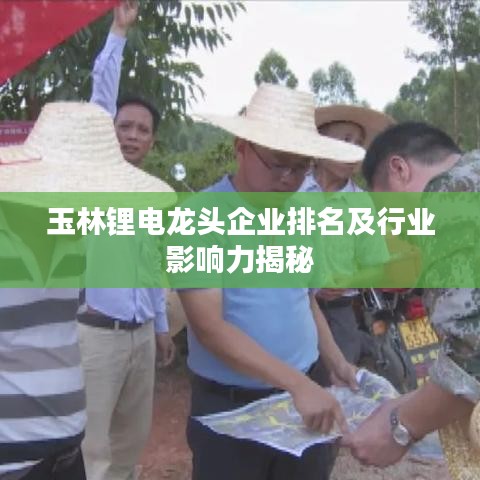 玉林锂电龙头企业排名及行业影响力揭秘