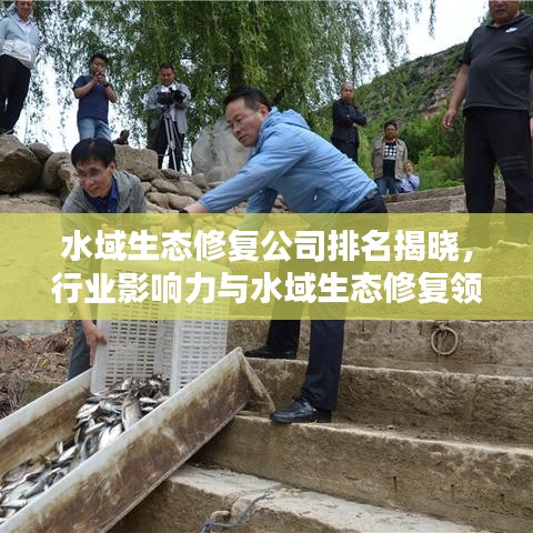 水域生态修复公司排名揭晓，行业影响力与水域生态修复领域的领军企业