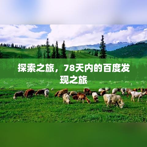 探索之旅，78天内的百度发现之旅
