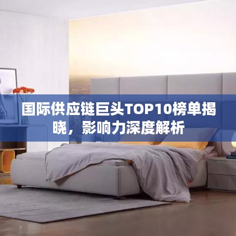国际供应链巨头TOP10榜单揭晓，影响力深度解析