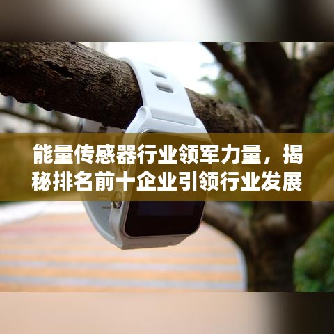 能量传感器行业领军力量，揭秘排名前十企业引领行业发展的奥秘！