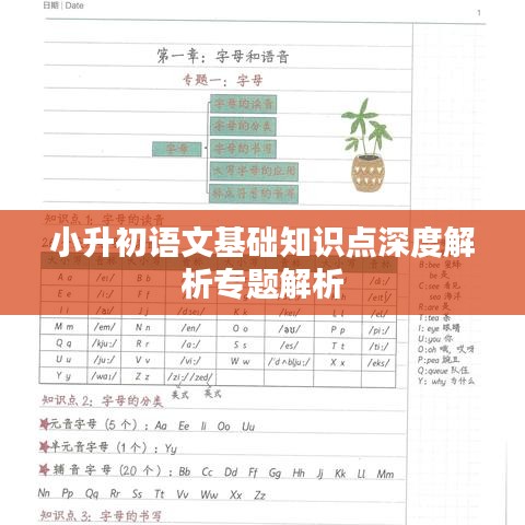 小升初语文基础知识点深度解析专题解析