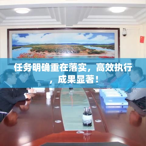 任务明确重在落实，高效执行，成果显著！