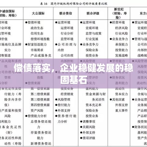 偿债落实，企业稳健发展的稳固基石