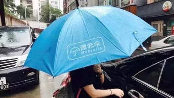 共享雨伞官方下载,重要性说明方法_潮流版_v10.897