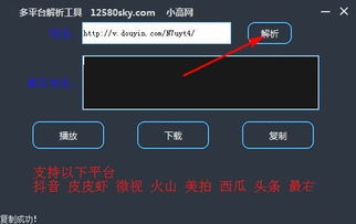 暴风解码器官方下载,专业解析说明_P版_v4.620