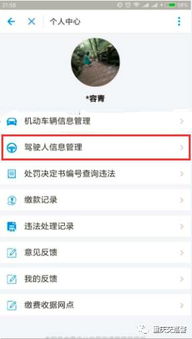 旧版本支付宝下载，权威分析解释与定义 - Device_v7.265全面介绍