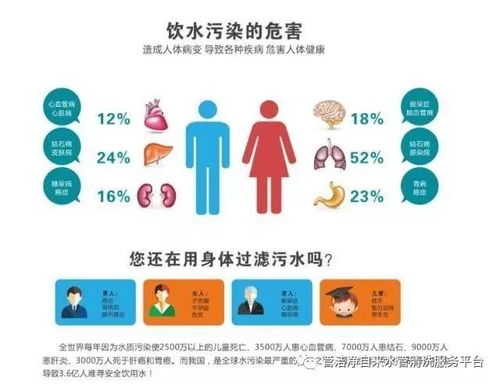 安全第一，如何安全下载和安装嗨付官方下载，稳定设计解析策略_9DM_v8.141软件