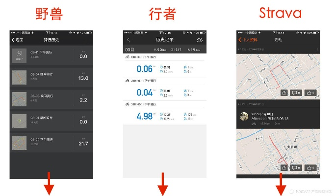 行者新版本，精细化解读说明_娱乐版_v2.650——轻量级软件的优秀代表