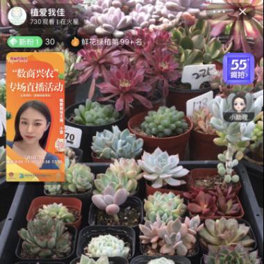 梦缘直播官方下载,深入数据执行应用&amp;开发版_v4.101