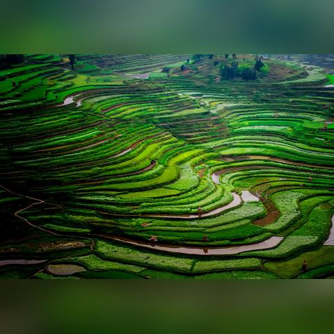 仙境传说版本,实地分析解析说明|NE版_v8.197