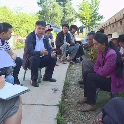 豌豆官方下载,实地设计评估解析_VE版_v5.268