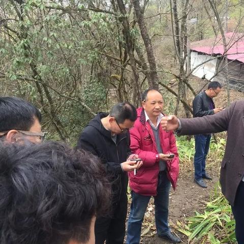 支部宝下载官方下载,可持续发展执行探索_BT_v9.950