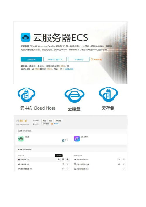 kieng官方下载,数据支持执行策略_网页版1_v8.341