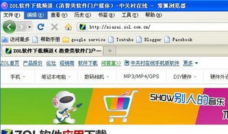 紫狐浏览器官方下载，轻量级实效设计，打造高效流畅体验的专业款浏览器