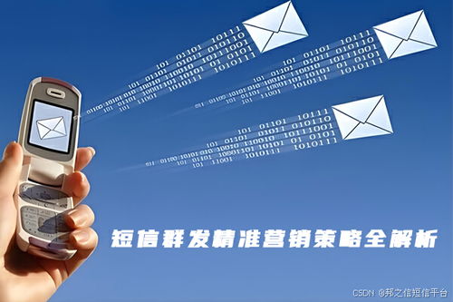 旧版本安装，精准解答解释定义_6DM1_v9.230软件评测介绍