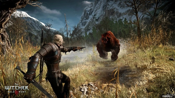 ps4 巫师版本,实地考察数据策略|挑战款1_v8.840