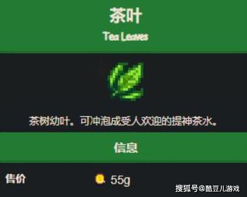 土豆旧版本升级解析，从4.8到尊享版v5.97的独特蜕变