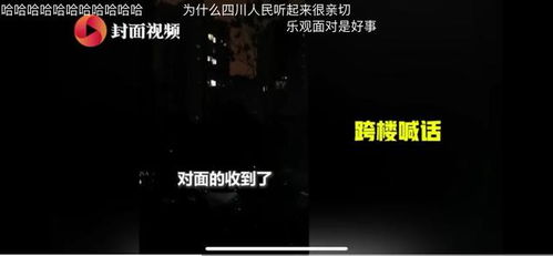 赵大格版本的炸鸡歌词，创意工具的力量与数据决策的智慧，3DM_v4.592的震撼登场