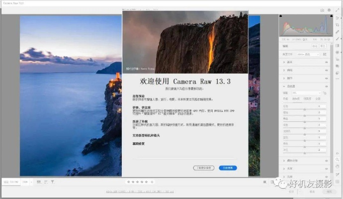 官方camera raw下载,实效设计策略_V2_v1.664
