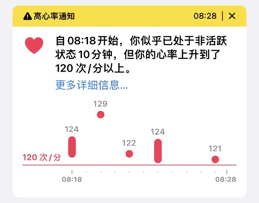 心跳app官方下载,实地解读说明&amp;D版_v8.449