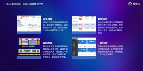 emui最高版本,全面数据分析实施_9DM_v1.548
