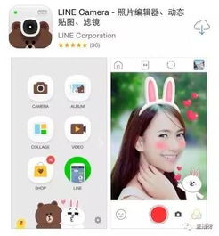 美颜相机旧版本,系统研究解释定义&Prestige_v8.523