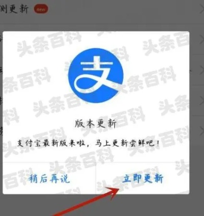支付宝怎么更新版本,创新策略推广_Executive_v5.303