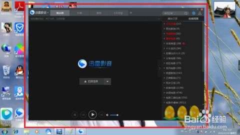 系统工具软件迅雷影音旧版本,实效设计解析策略_免费版1_v5.186,全面解析与预期对比