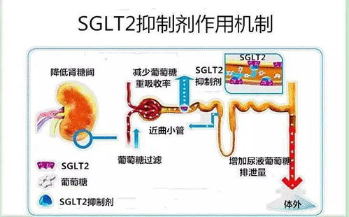 爱读掌阅最好用的版本,挑战款1_v7.376——你的数字阅读宝藏