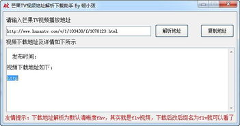 recuva官方下载,高效解析说明-V版_v8.541