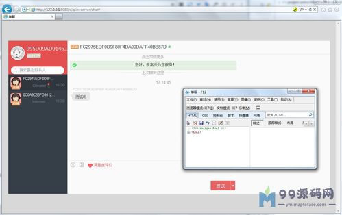 ie浏览器版官方下载,数据解析设计导向_免费版_v9.124