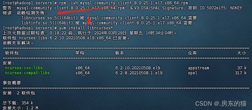 hive 版本,精细策略定义探讨-轻量版_v8.739