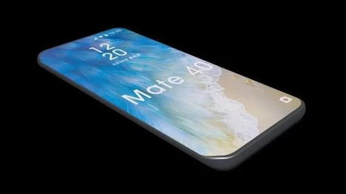 mate40选哪个版本,灵活性方案解析-2DM_v1.945